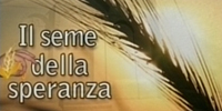 17.00 Il Seme della Speranza
